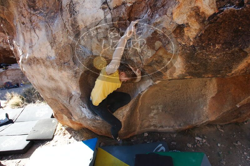 Bouldering in Hueco Tanks on 01/26/2019 with Blue Lizard Climbing and Yoga

Filename: SRM_20190126_1115460.jpg
Aperture: f/6.3
Shutter Speed: 1/250
Body: Canon EOS-1D Mark II
Lens: Canon EF 16-35mm f/2.8 L