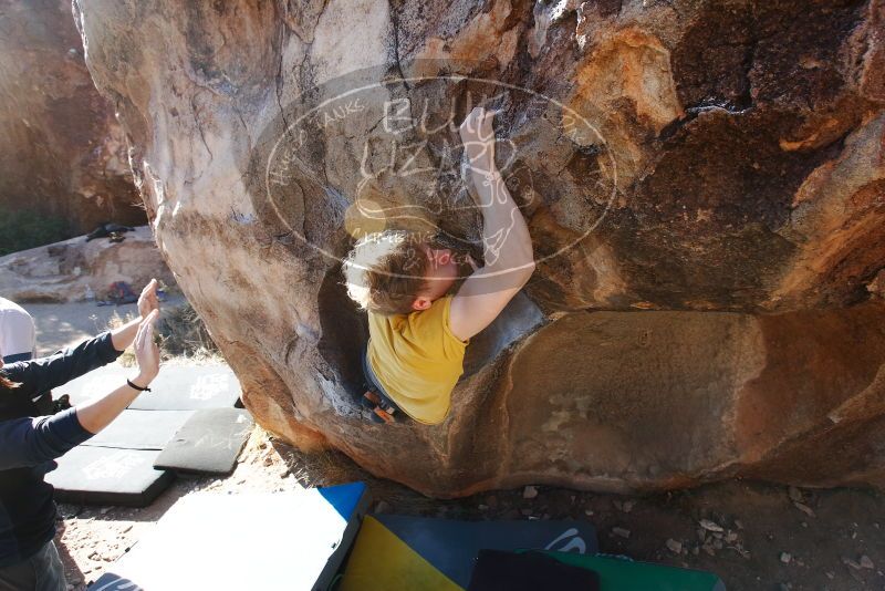 Bouldering in Hueco Tanks on 01/26/2019 with Blue Lizard Climbing and Yoga

Filename: SRM_20190126_1115560.jpg
Aperture: f/7.1
Shutter Speed: 1/250
Body: Canon EOS-1D Mark II
Lens: Canon EF 16-35mm f/2.8 L