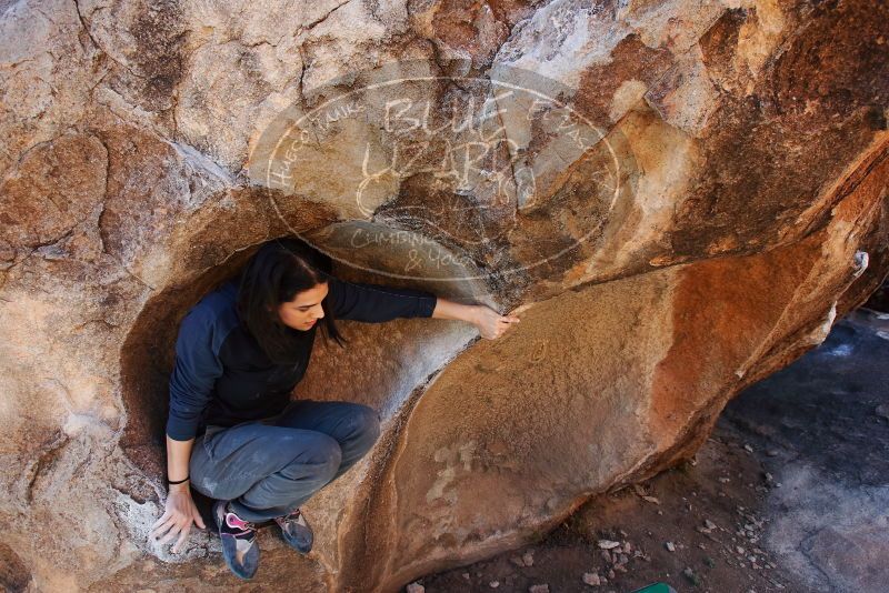 Bouldering in Hueco Tanks on 01/26/2019 with Blue Lizard Climbing and Yoga

Filename: SRM_20190126_1118110.jpg
Aperture: f/5.6
Shutter Speed: 1/250
Body: Canon EOS-1D Mark II
Lens: Canon EF 16-35mm f/2.8 L