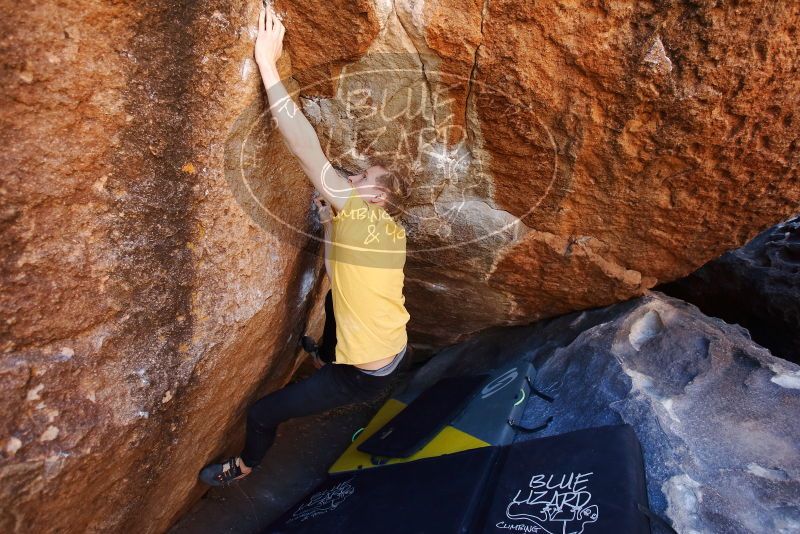 Bouldering in Hueco Tanks on 01/26/2019 with Blue Lizard Climbing and Yoga

Filename: SRM_20190126_1135030.jpg
Aperture: f/3.5
Shutter Speed: 1/250
Body: Canon EOS-1D Mark II
Lens: Canon EF 16-35mm f/2.8 L