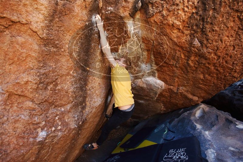 Bouldering in Hueco Tanks on 01/26/2019 with Blue Lizard Climbing and Yoga

Filename: SRM_20190126_1135050.jpg
Aperture: f/4.0
Shutter Speed: 1/250
Body: Canon EOS-1D Mark II
Lens: Canon EF 16-35mm f/2.8 L