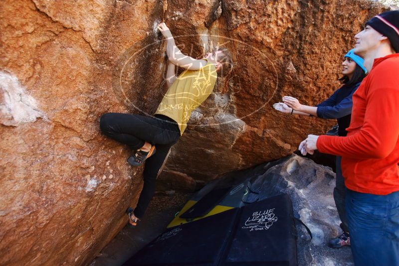 Bouldering in Hueco Tanks on 01/26/2019 with Blue Lizard Climbing and Yoga

Filename: SRM_20190126_1135130.jpg
Aperture: f/4.0
Shutter Speed: 1/250
Body: Canon EOS-1D Mark II
Lens: Canon EF 16-35mm f/2.8 L