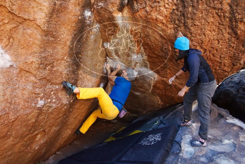 Bouldering in Hueco Tanks on 01/26/2019 with Blue Lizard Climbing and Yoga

Filename: SRM_20190126_1137340.jpg
Aperture: f/4.0
Shutter Speed: 1/250
Body: Canon EOS-1D Mark II
Lens: Canon EF 16-35mm f/2.8 L