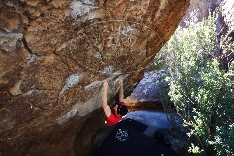 Bouldering in Hueco Tanks on 01/26/2019 with Blue Lizard Climbing and Yoga

Filename: SRM_20190126_1207330.jpg
Aperture: f/4.5
Shutter Speed: 1/250
Body: Canon EOS-1D Mark II
Lens: Canon EF 16-35mm f/2.8 L