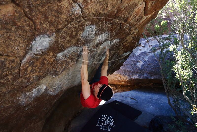 Bouldering in Hueco Tanks on 01/26/2019 with Blue Lizard Climbing and Yoga

Filename: SRM_20190126_1207410.jpg
Aperture: f/4.5
Shutter Speed: 1/250
Body: Canon EOS-1D Mark II
Lens: Canon EF 16-35mm f/2.8 L