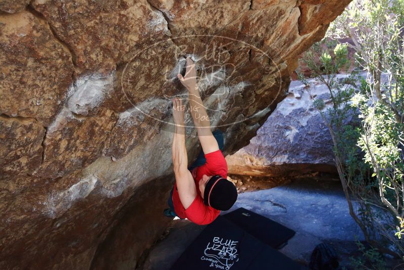 Bouldering in Hueco Tanks on 01/26/2019 with Blue Lizard Climbing and Yoga

Filename: SRM_20190126_1207420.jpg
Aperture: f/4.5
Shutter Speed: 1/250
Body: Canon EOS-1D Mark II
Lens: Canon EF 16-35mm f/2.8 L