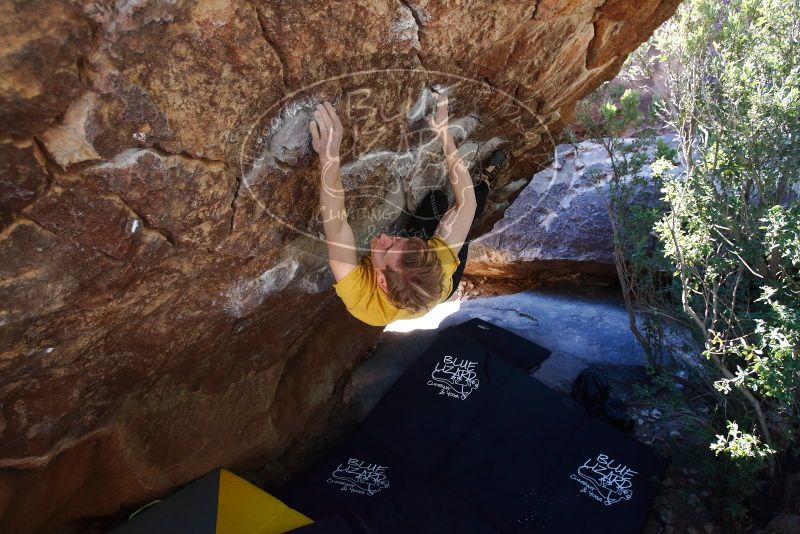 Bouldering in Hueco Tanks on 01/26/2019 with Blue Lizard Climbing and Yoga

Filename: SRM_20190126_1210140.jpg
Aperture: f/4.5
Shutter Speed: 1/250
Body: Canon EOS-1D Mark II
Lens: Canon EF 16-35mm f/2.8 L