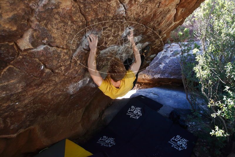 Bouldering in Hueco Tanks on 01/26/2019 with Blue Lizard Climbing and Yoga

Filename: SRM_20190126_1210141.jpg
Aperture: f/4.5
Shutter Speed: 1/250
Body: Canon EOS-1D Mark II
Lens: Canon EF 16-35mm f/2.8 L