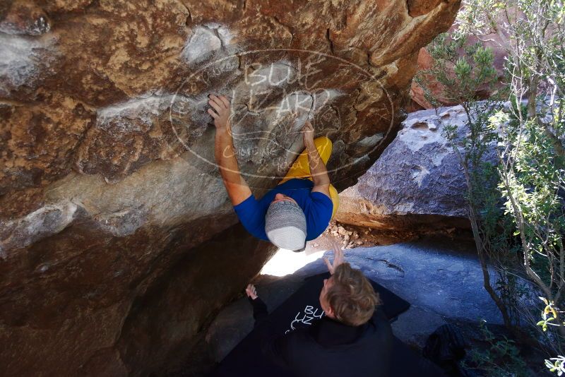 Bouldering in Hueco Tanks on 01/26/2019 with Blue Lizard Climbing and Yoga

Filename: SRM_20190126_1218240.jpg
Aperture: f/4.5
Shutter Speed: 1/250
Body: Canon EOS-1D Mark II
Lens: Canon EF 16-35mm f/2.8 L