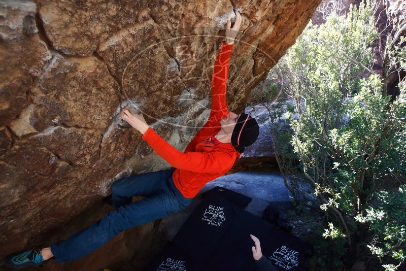 Bouldering in Hueco Tanks on 01/26/2019 with Blue Lizard Climbing and Yoga

Filename: SRM_20190126_1221130.jpg
Aperture: f/4.5
Shutter Speed: 1/250
Body: Canon EOS-1D Mark II
Lens: Canon EF 16-35mm f/2.8 L