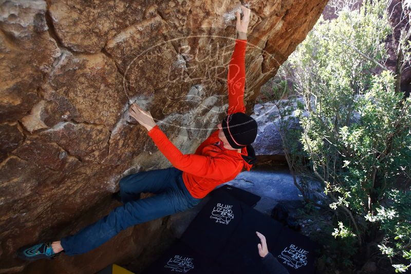 Bouldering in Hueco Tanks on 01/26/2019 with Blue Lizard Climbing and Yoga

Filename: SRM_20190126_1221131.jpg
Aperture: f/4.5
Shutter Speed: 1/250
Body: Canon EOS-1D Mark II
Lens: Canon EF 16-35mm f/2.8 L