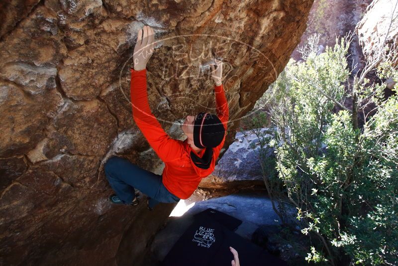 Bouldering in Hueco Tanks on 01/26/2019 with Blue Lizard Climbing and Yoga

Filename: SRM_20190126_1221180.jpg
Aperture: f/5.0
Shutter Speed: 1/250
Body: Canon EOS-1D Mark II
Lens: Canon EF 16-35mm f/2.8 L