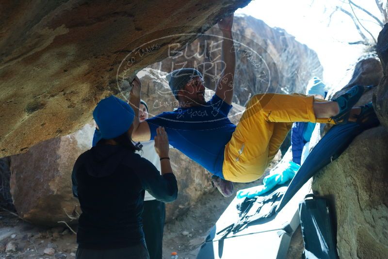 Bouldering in Hueco Tanks on 01/26/2019 with Blue Lizard Climbing and Yoga

Filename: SRM_20190126_1313200.jpg
Aperture: f/4.5
Shutter Speed: 1/400
Body: Canon EOS-1D Mark II
Lens: Canon EF 50mm f/1.8 II