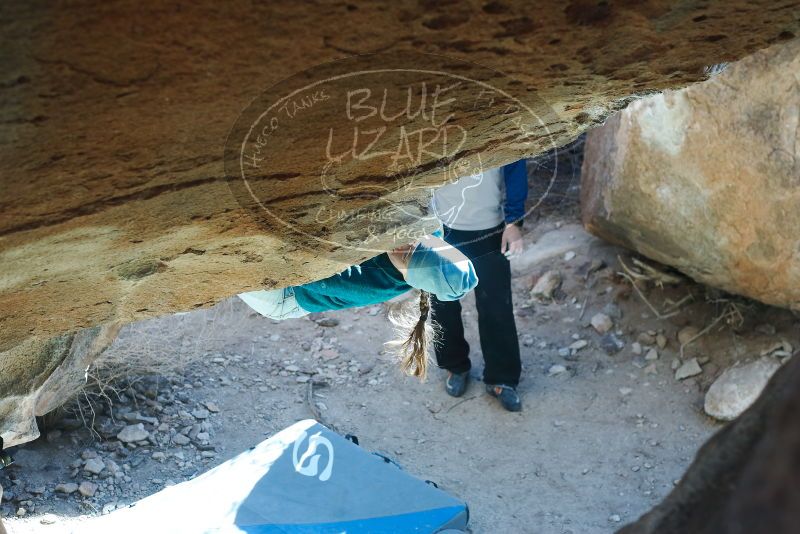 Bouldering in Hueco Tanks on 01/26/2019 with Blue Lizard Climbing and Yoga

Filename: SRM_20190126_1334260.jpg
Aperture: f/3.5
Shutter Speed: 1/250
Body: Canon EOS-1D Mark II
Lens: Canon EF 50mm f/1.8 II