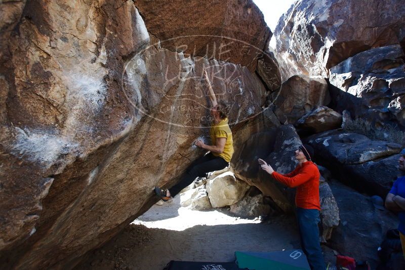 Bouldering in Hueco Tanks on 01/26/2019 with Blue Lizard Climbing and Yoga

Filename: SRM_20190126_1433280.jpg
Aperture: f/5.0
Shutter Speed: 1/250
Body: Canon EOS-1D Mark II
Lens: Canon EF 16-35mm f/2.8 L