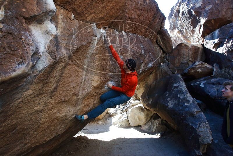 Bouldering in Hueco Tanks on 01/26/2019 with Blue Lizard Climbing and Yoga

Filename: SRM_20190126_1435280.jpg
Aperture: f/5.0
Shutter Speed: 1/250
Body: Canon EOS-1D Mark II
Lens: Canon EF 16-35mm f/2.8 L