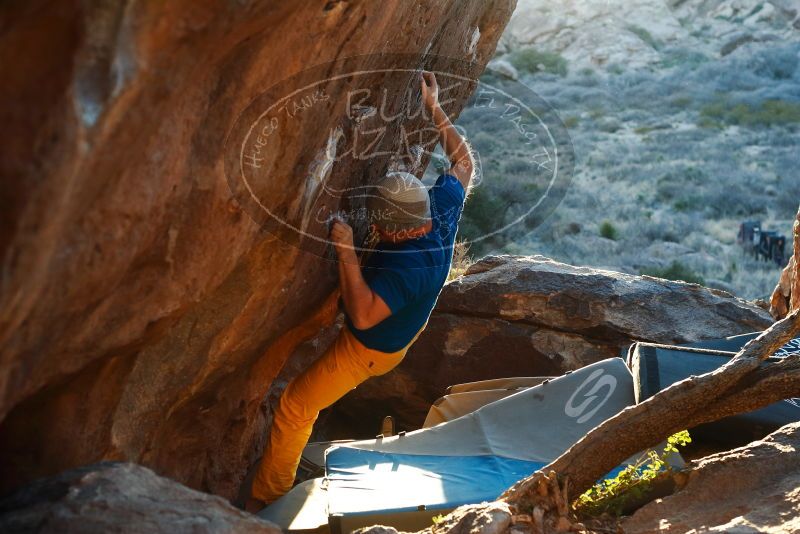 Bouldering in Hueco Tanks on 01/26/2019 with Blue Lizard Climbing and Yoga

Filename: SRM_20190126_1815030.jpg
Aperture: f/4.0
Shutter Speed: 1/250
Body: Canon EOS-1D Mark II
Lens: Canon EF 50mm f/1.8 II