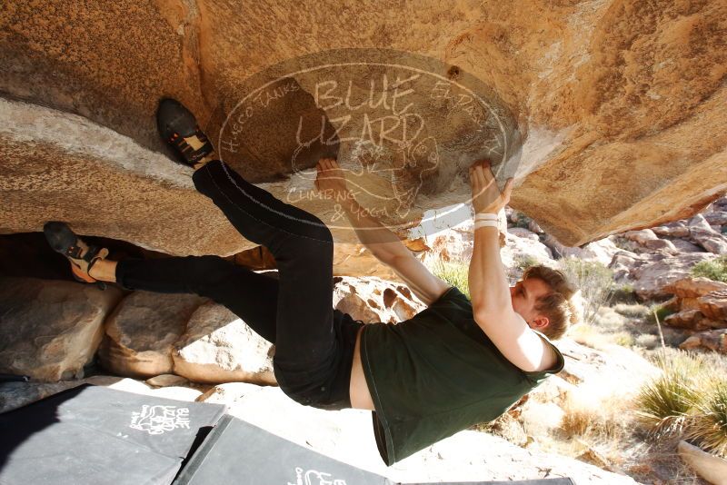 Bouldering in Hueco Tanks on 01/27/2019 with Blue Lizard Climbing and Yoga

Filename: SRM_20190127_1029370.jpg
Aperture: f/8.0
Shutter Speed: 1/250
Body: Canon EOS-1D Mark II
Lens: Canon EF 16-35mm f/2.8 L