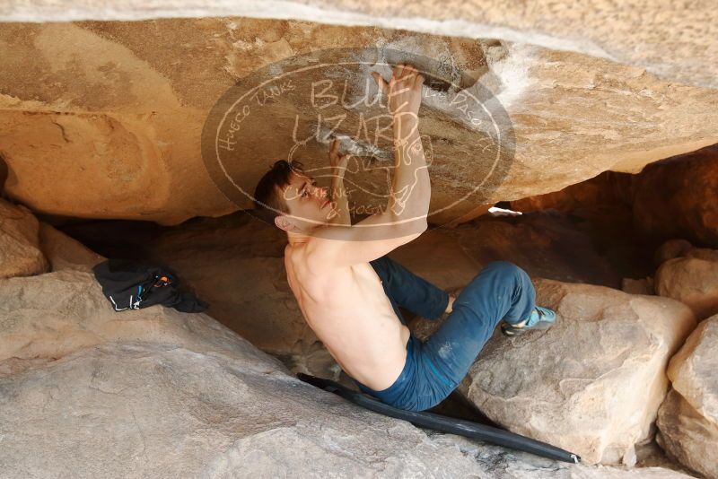 Bouldering in Hueco Tanks on 01/27/2019 with Blue Lizard Climbing and Yoga

Filename: SRM_20190127_1044110.jpg
Aperture: f/4.5
Shutter Speed: 1/250
Body: Canon EOS-1D Mark II
Lens: Canon EF 16-35mm f/2.8 L