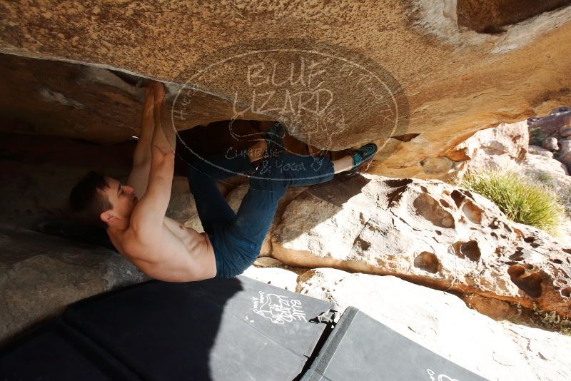 Bouldering in Hueco Tanks on 01/27/2019 with Blue Lizard Climbing and Yoga

Filename: SRM_20190127_1045090.jpg
Aperture: f/8.0
Shutter Speed: 1/250
Body: Canon EOS-1D Mark II
Lens: Canon EF 16-35mm f/2.8 L