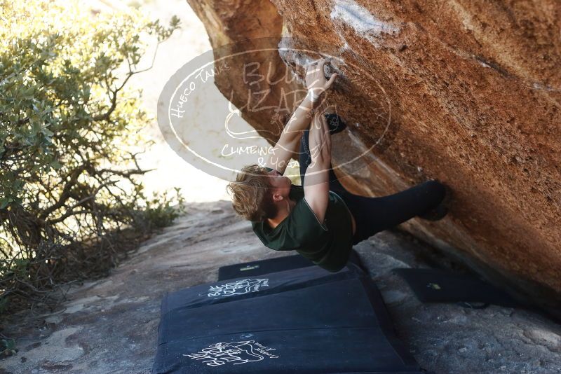 Bouldering in Hueco Tanks on 01/27/2019 with Blue Lizard Climbing and Yoga

Filename: SRM_20190127_1155060.jpg
Aperture: f/3.2
Shutter Speed: 1/400
Body: Canon EOS-1D Mark II
Lens: Canon EF 50mm f/1.8 II