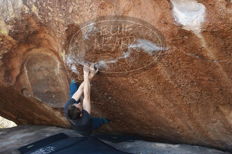 Bouldering in Hueco Tanks on 01/27/2019 with Blue Lizard Climbing and Yoga

Filename: SRM_20190127_1201480.jpg
Aperture: f/2.8
Shutter Speed: 1/400
Body: Canon EOS-1D Mark II
Lens: Canon EF 50mm f/1.8 II