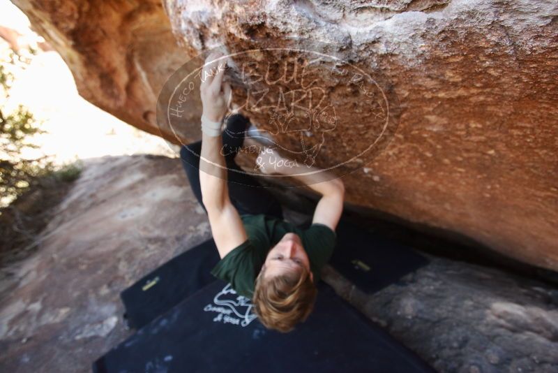 Bouldering in Hueco Tanks on 01/27/2019 with Blue Lizard Climbing and Yoga

Filename: SRM_20190127_1313100.jpg
Aperture: f/4.0
Shutter Speed: 1/320
Body: Canon EOS-1D Mark II
Lens: Canon EF 16-35mm f/2.8 L