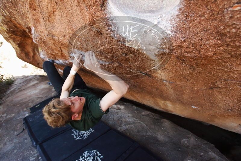 Bouldering in Hueco Tanks on 01/27/2019 with Blue Lizard Climbing and Yoga

Filename: SRM_20190127_1313340.jpg
Aperture: f/4.0
Shutter Speed: 1/400
Body: Canon EOS-1D Mark II
Lens: Canon EF 16-35mm f/2.8 L