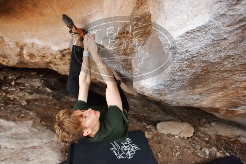 Bouldering in Hueco Tanks on 01/27/2019 with Blue Lizard Climbing and Yoga

Filename: SRM_20190127_1356420.jpg
Aperture: f/4.0
Shutter Speed: 1/500
Body: Canon EOS-1D Mark II
Lens: Canon EF 16-35mm f/2.8 L