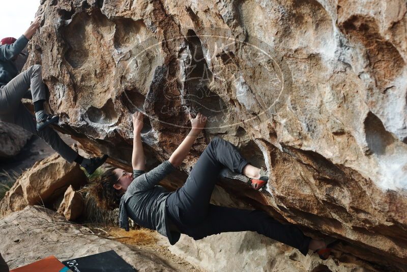 Bouldering in Hueco Tanks on 02/03/2019 with Blue Lizard Climbing and Yoga

Filename: SRM_20190203_1106510.jpg
Aperture: f/4.0
Shutter Speed: 1/1250
Body: Canon EOS-1D Mark II
Lens: Canon EF 50mm f/1.8 II