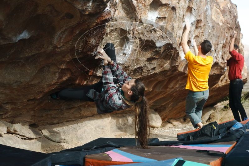 Bouldering in Hueco Tanks on 02/03/2019 with Blue Lizard Climbing and Yoga

Filename: SRM_20190203_1117200.jpg
Aperture: f/4.0
Shutter Speed: 1/400
Body: Canon EOS-1D Mark II
Lens: Canon EF 50mm f/1.8 II