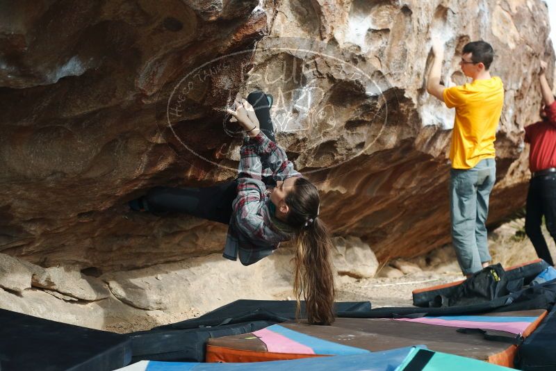 Bouldering in Hueco Tanks on 02/03/2019 with Blue Lizard Climbing and Yoga

Filename: SRM_20190203_1117210.jpg
Aperture: f/4.0
Shutter Speed: 1/320
Body: Canon EOS-1D Mark II
Lens: Canon EF 50mm f/1.8 II