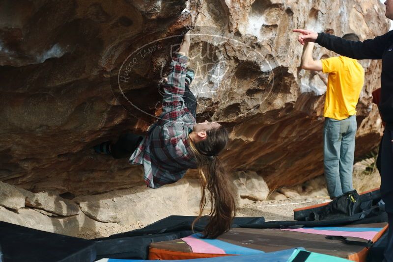 Bouldering in Hueco Tanks on 02/03/2019 with Blue Lizard Climbing and Yoga

Filename: SRM_20190203_1117260.jpg
Aperture: f/4.0
Shutter Speed: 1/400
Body: Canon EOS-1D Mark II
Lens: Canon EF 50mm f/1.8 II