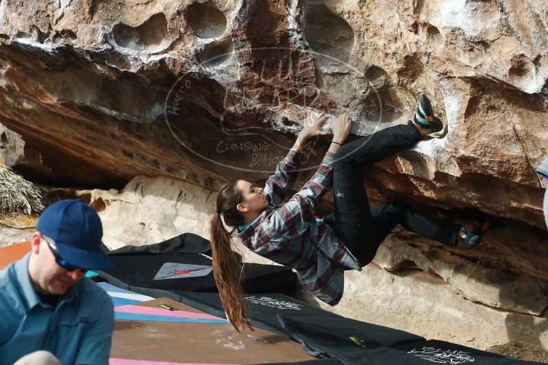 Bouldering in Hueco Tanks on 02/03/2019 with Blue Lizard Climbing and Yoga

Filename: SRM_20190203_1125480.jpg
Aperture: f/4.0
Shutter Speed: 1/400
Body: Canon EOS-1D Mark II
Lens: Canon EF 50mm f/1.8 II