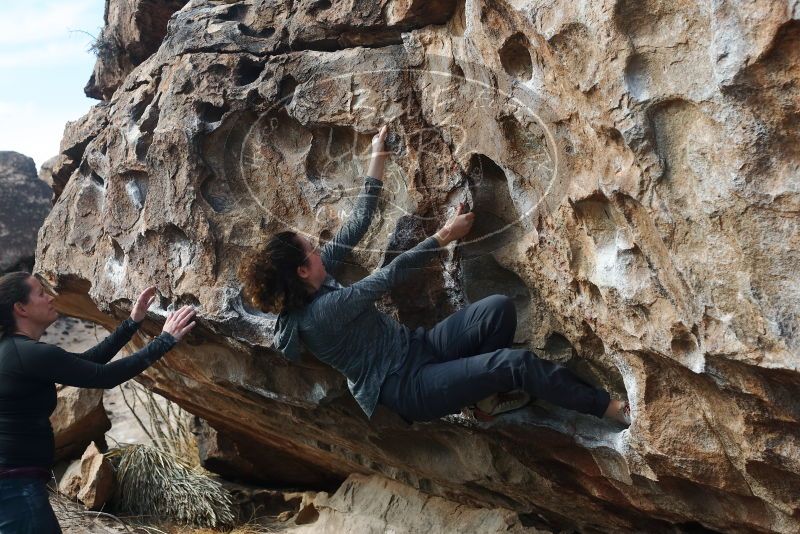 Bouldering in Hueco Tanks on 02/03/2019 with Blue Lizard Climbing and Yoga

Filename: SRM_20190203_1143310.jpg
Aperture: f/4.0
Shutter Speed: 1/400
Body: Canon EOS-1D Mark II
Lens: Canon EF 50mm f/1.8 II