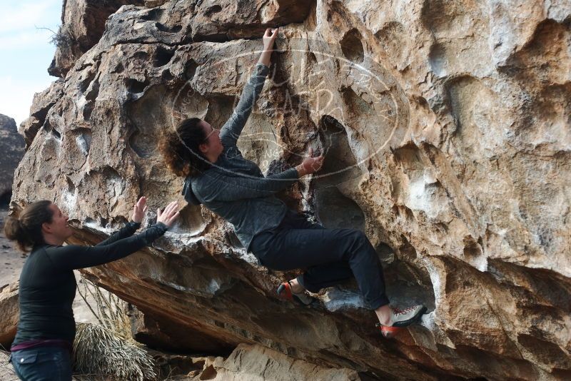 Bouldering in Hueco Tanks on 02/03/2019 with Blue Lizard Climbing and Yoga

Filename: SRM_20190203_1143510.jpg
Aperture: f/4.0
Shutter Speed: 1/400
Body: Canon EOS-1D Mark II
Lens: Canon EF 50mm f/1.8 II