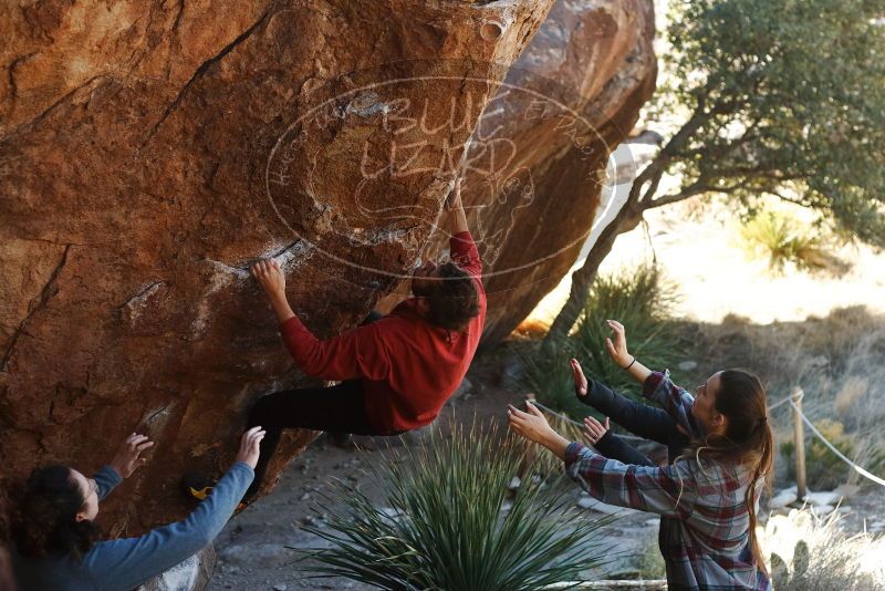 Bouldering in Hueco Tanks on 02/03/2019 with Blue Lizard Climbing and Yoga

Filename: SRM_20190203_1255240.jpg
Aperture: f/3.5
Shutter Speed: 1/320
Body: Canon EOS-1D Mark II
Lens: Canon EF 50mm f/1.8 II