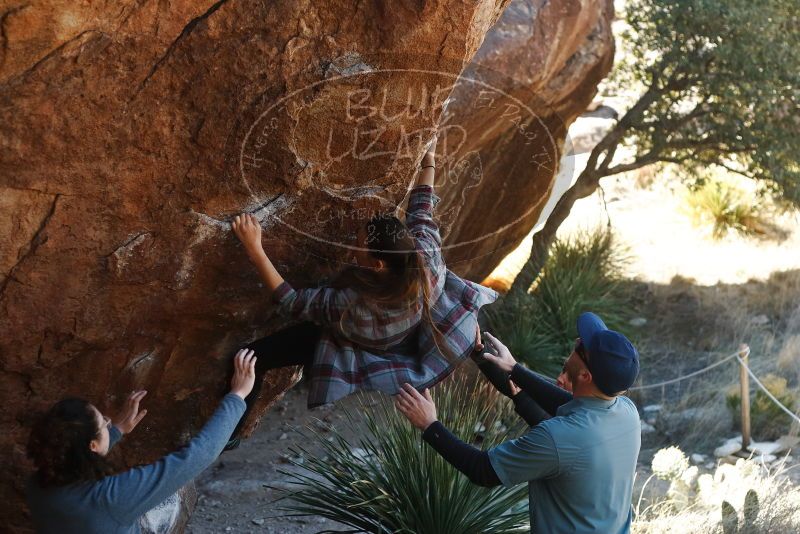 Bouldering in Hueco Tanks on 02/03/2019 with Blue Lizard Climbing and Yoga

Filename: SRM_20190203_1257580.jpg
Aperture: f/3.5
Shutter Speed: 1/400
Body: Canon EOS-1D Mark II
Lens: Canon EF 50mm f/1.8 II