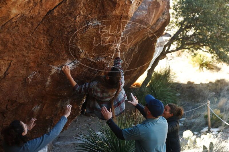 Bouldering in Hueco Tanks on 02/03/2019 with Blue Lizard Climbing and Yoga

Filename: SRM_20190203_1258020.jpg
Aperture: f/3.5
Shutter Speed: 1/400
Body: Canon EOS-1D Mark II
Lens: Canon EF 50mm f/1.8 II