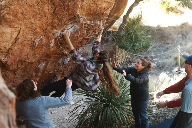 Bouldering in Hueco Tanks on 02/03/2019 with Blue Lizard Climbing and Yoga

Filename: SRM_20190203_1306330.jpg
Aperture: f/3.5
Shutter Speed: 1/200
Body: Canon EOS-1D Mark II
Lens: Canon EF 50mm f/1.8 II