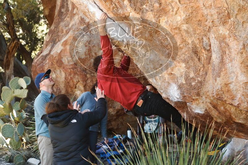 Bouldering in Hueco Tanks on 02/03/2019 with Blue Lizard Climbing and Yoga

Filename: SRM_20190203_1308410.jpg
Aperture: f/3.5
Shutter Speed: 1/250
Body: Canon EOS-1D Mark II
Lens: Canon EF 50mm f/1.8 II