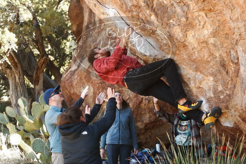 Bouldering in Hueco Tanks on 02/03/2019 with Blue Lizard Climbing and Yoga

Filename: SRM_20190203_1308470.jpg
Aperture: f/3.5
Shutter Speed: 1/250
Body: Canon EOS-1D Mark II
Lens: Canon EF 50mm f/1.8 II