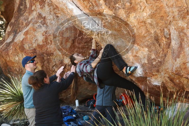 Bouldering in Hueco Tanks on 02/03/2019 with Blue Lizard Climbing and Yoga

Filename: SRM_20190203_1324530.jpg
Aperture: f/3.5
Shutter Speed: 1/320
Body: Canon EOS-1D Mark II
Lens: Canon EF 50mm f/1.8 II