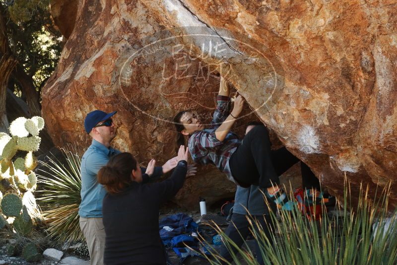 Bouldering in Hueco Tanks on 02/03/2019 with Blue Lizard Climbing and Yoga

Filename: SRM_20190203_1325370.jpg
Aperture: f/4.5
Shutter Speed: 1/250
Body: Canon EOS-1D Mark II
Lens: Canon EF 50mm f/1.8 II