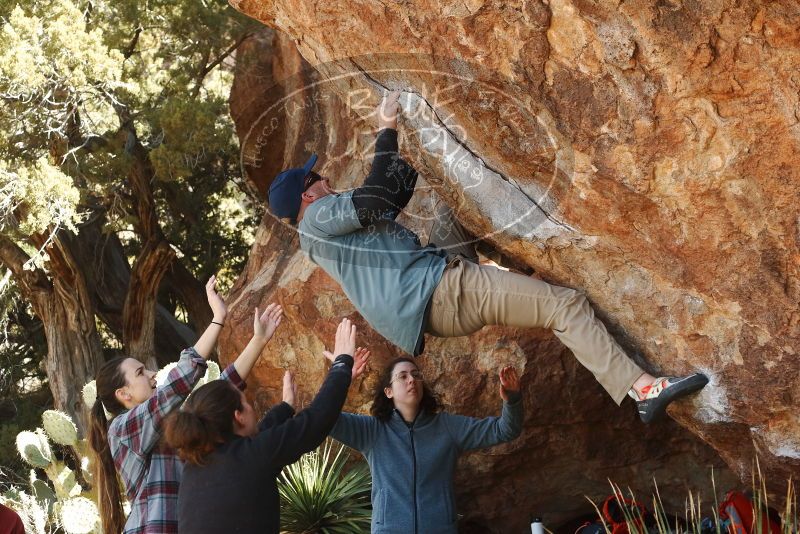 Bouldering in Hueco Tanks on 02/03/2019 with Blue Lizard Climbing and Yoga

Filename: SRM_20190203_1329000.jpg
Aperture: f/4.5
Shutter Speed: 1/250
Body: Canon EOS-1D Mark II
Lens: Canon EF 50mm f/1.8 II