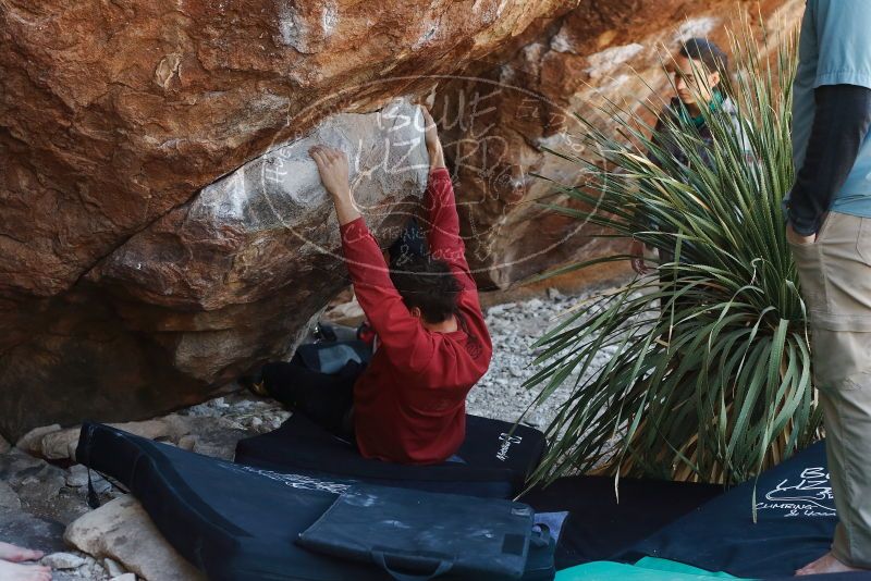 Bouldering in Hueco Tanks on 02/03/2019 with Blue Lizard Climbing and Yoga

Filename: SRM_20190203_1342310.jpg
Aperture: f/4.0
Shutter Speed: 1/250
Body: Canon EOS-1D Mark II
Lens: Canon EF 50mm f/1.8 II