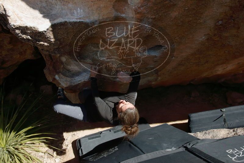 Bouldering in Hueco Tanks on 02/03/2019 with Blue Lizard Climbing and Yoga

Filename: SRM_20190203_1427250.jpg
Aperture: f/5.6
Shutter Speed: 1/250
Body: Canon EOS-1D Mark II
Lens: Canon EF 16-35mm f/2.8 L