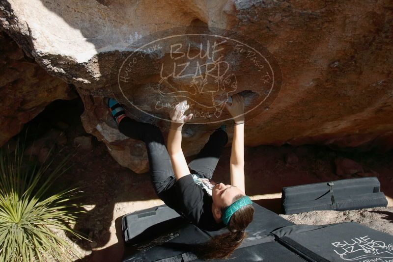 Bouldering in Hueco Tanks on 02/03/2019 with Blue Lizard Climbing and Yoga

Filename: SRM_20190203_1429300.jpg
Aperture: f/5.6
Shutter Speed: 1/250
Body: Canon EOS-1D Mark II
Lens: Canon EF 16-35mm f/2.8 L