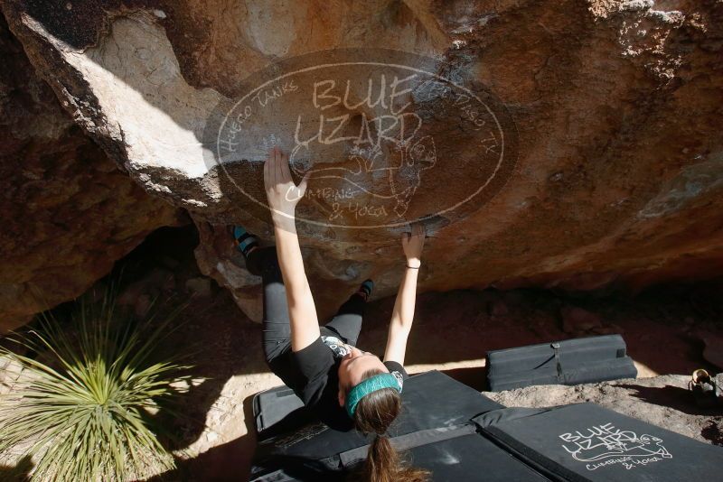 Bouldering in Hueco Tanks on 02/03/2019 with Blue Lizard Climbing and Yoga

Filename: SRM_20190203_1429390.jpg
Aperture: f/5.6
Shutter Speed: 1/250
Body: Canon EOS-1D Mark II
Lens: Canon EF 16-35mm f/2.8 L