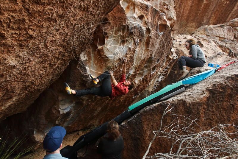 Bouldering in Hueco Tanks on 02/03/2019 with Blue Lizard Climbing and Yoga

Filename: SRM_20190203_1446340.jpg
Aperture: f/5.6
Shutter Speed: 1/500
Body: Canon EOS-1D Mark II
Lens: Canon EF 16-35mm f/2.8 L